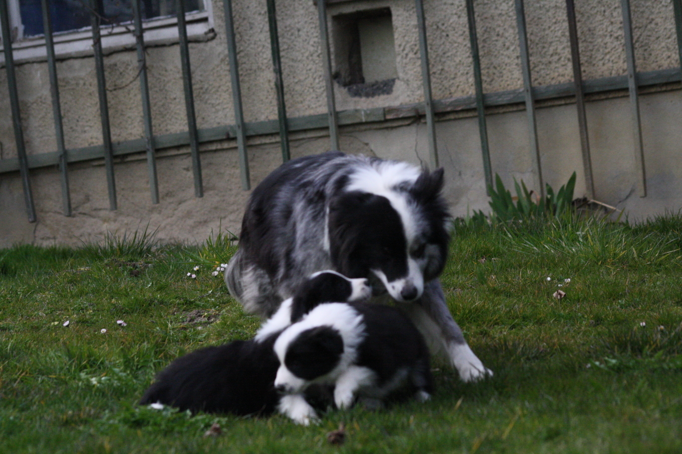 Das ist meine Mama