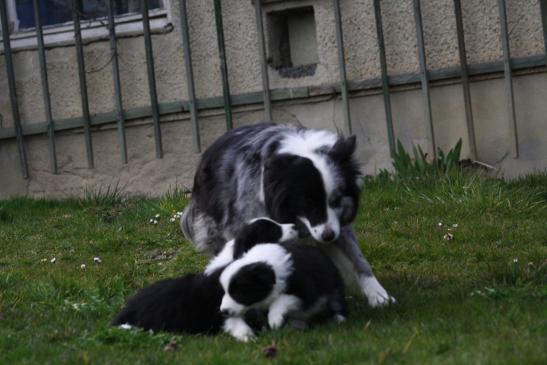 Das ist meine Mama